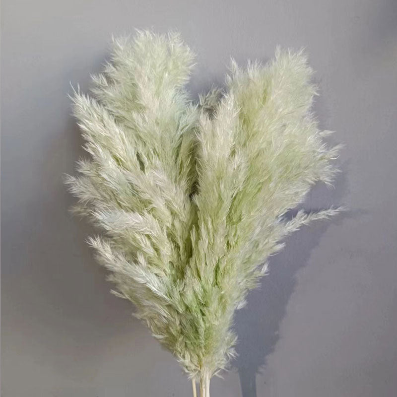 Natural Reed Dried Flower Bouquet Home wedding Decor Eternal Pampas Grass