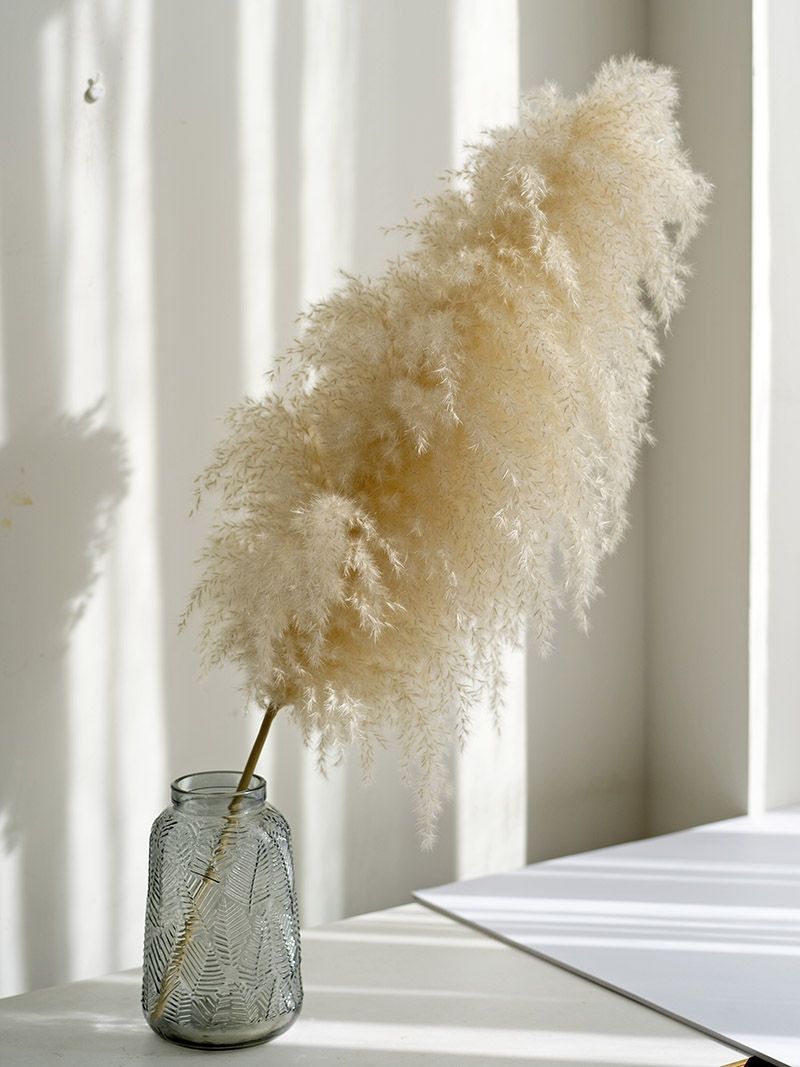 Dried Flower, Natural Pampas Grass, Large Reed, Home Wedding Decoration