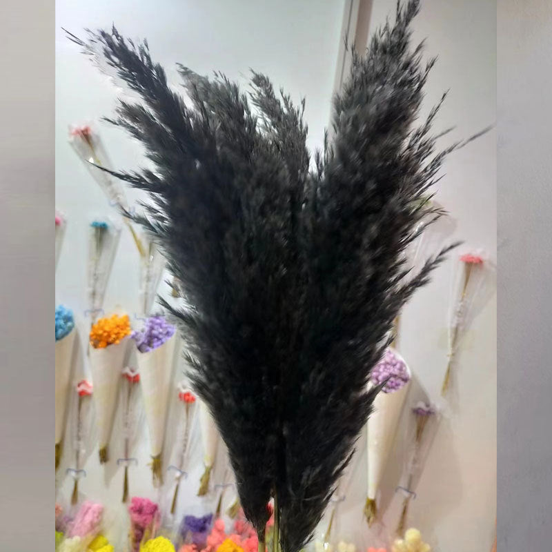 Natural Reed Dried Flower Bouquet Home wedding Decor Eternal Pampas Grass