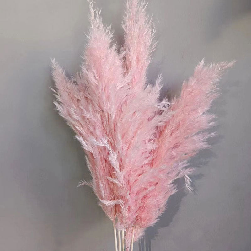 Natural Reed Dried Flower Bouquet Home wedding Decor Eternal Pampas Grass