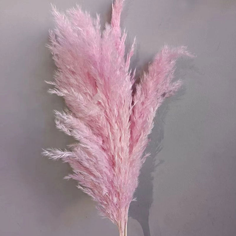 Natural Reed Dried Flower Bouquet Home wedding Decor Eternal Pampas Grass