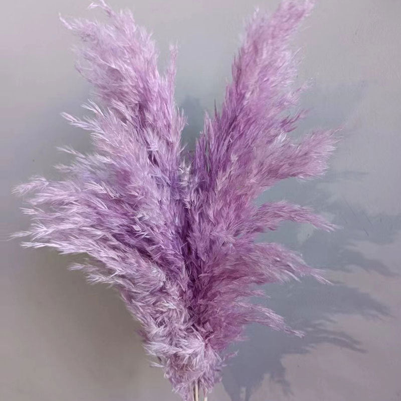 Natural Reed Dried Flower Bouquet Home wedding Decor Eternal Pampas Grass