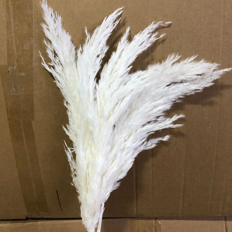 Natural Reed Dried Flower Bouquet Home wedding Decor Eternal Pampas Grass