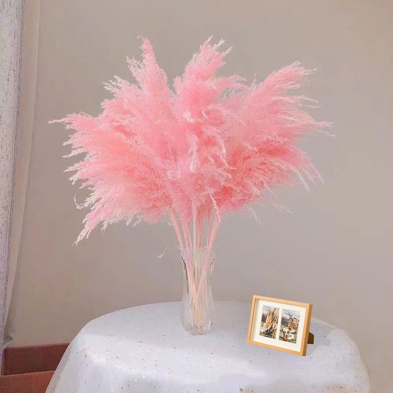 Natural Reed Dried Flower Bouquet Home wedding Decor Eternal Pampas Grass