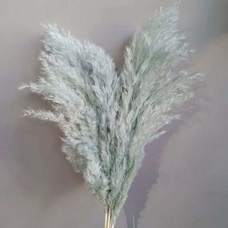 Natural Reed Dried Flower Bouquet Home wedding Decor Eternal Pampas Grass