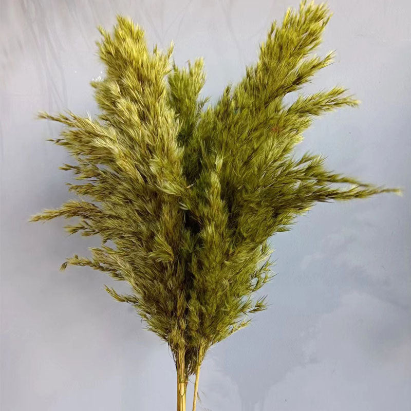 Natural Reed Dried Flower Bouquet Home wedding Decor Eternal Pampas Grass