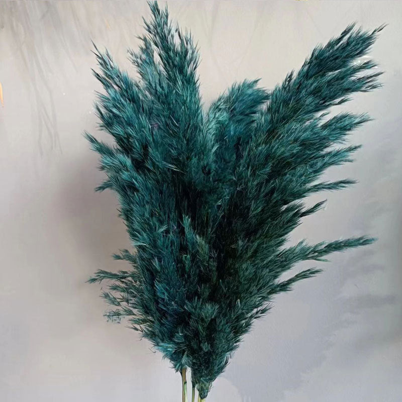 Natural Reed Dried Flower Bouquet Home wedding Decor Eternal Pampas Grass