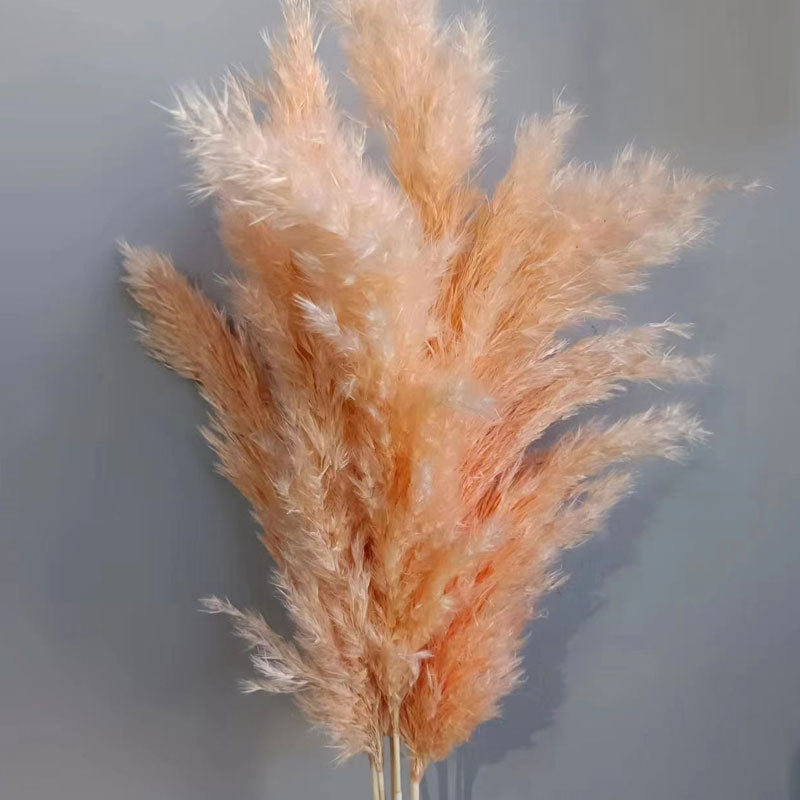 Natural Reed Dried Flower Bouquet Home wedding Decor Eternal Pampas Grass