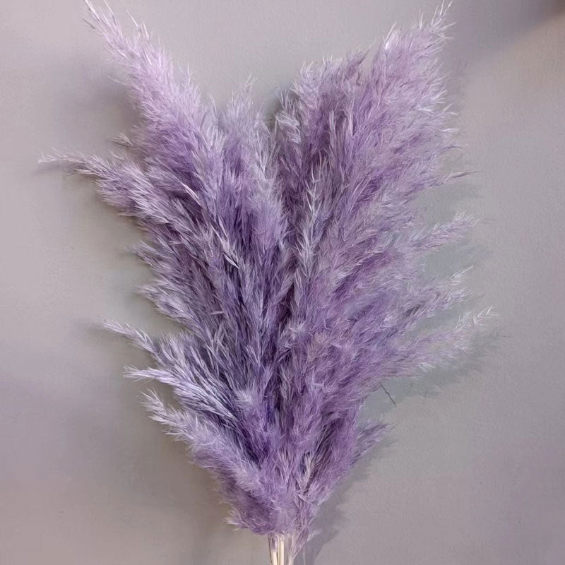 Natural Reed Dried Flower Bouquet Home wedding Decor Eternal Pampas Grass