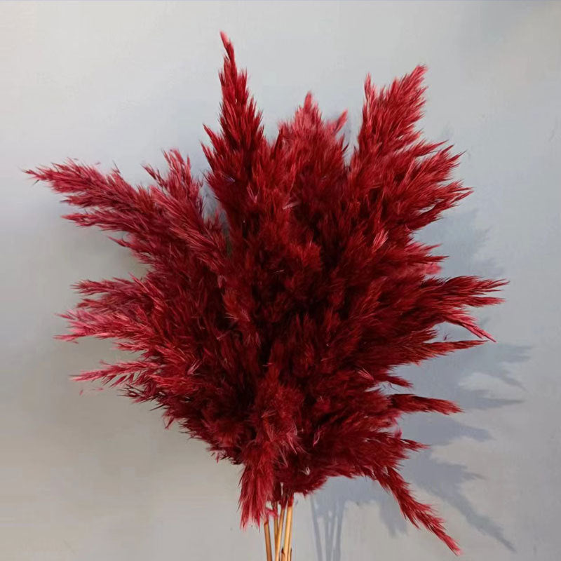 Natural Reed Dried Flower Bouquet Home wedding Decor Eternal Pampas Grass