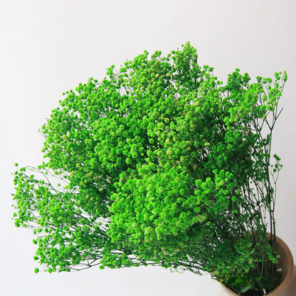High Quality Eternal Babysbreath Flower Bouquet Dried Flower Home Wedding Decoration Real Flower Gypsophila