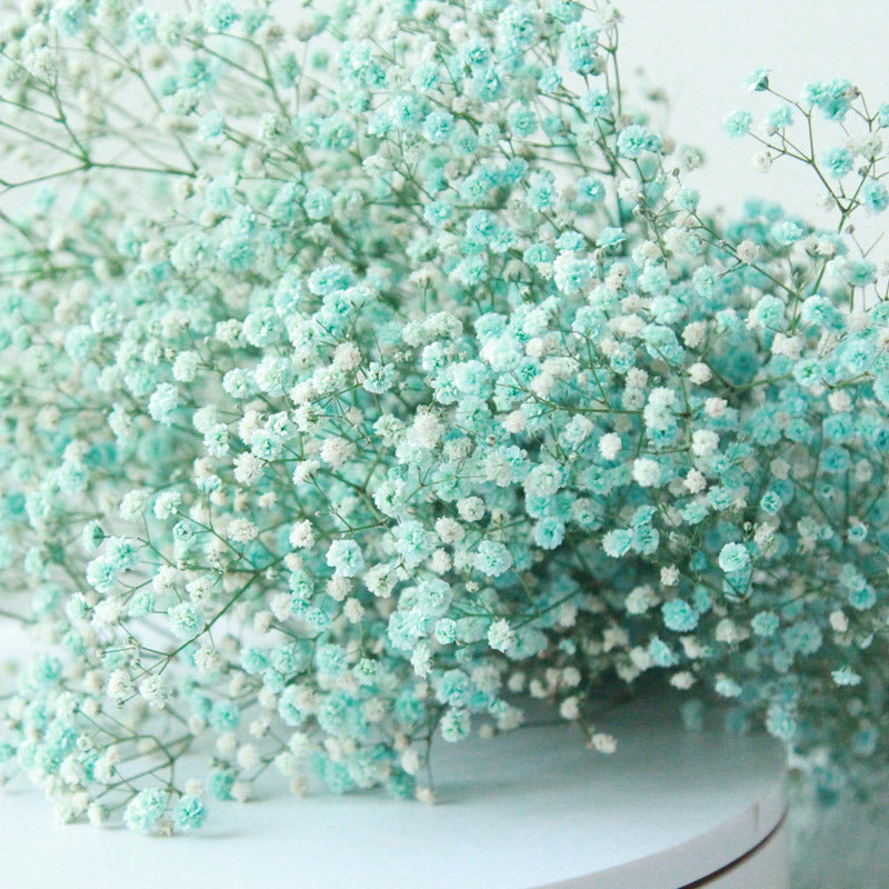 High Quality Eternal Babysbreath Flower Bouquet Dried Flower Home Wedding Decoration Real Flower Gypsophila