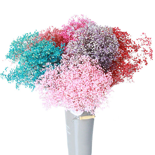 High Quality Eternal Babysbreath Flower Bouquet Dried Flower Home Wedding Decoration Real Flower Gypsophila