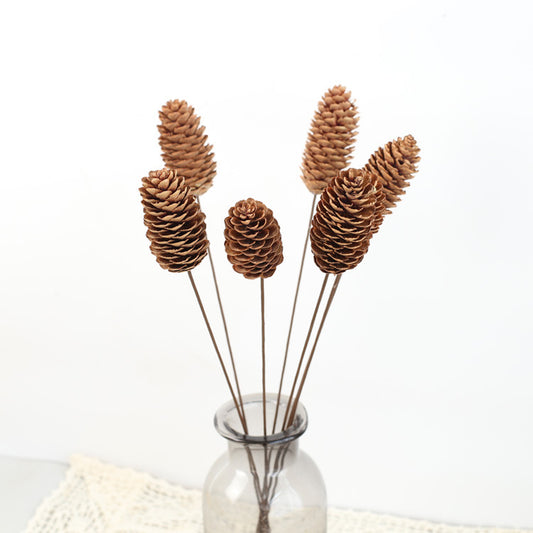 Dried Flower Natural Pinecone DIY Flower Material Dried Pine cone