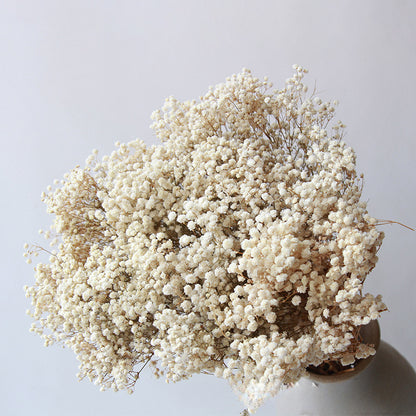 High Quality Eternal Babysbreath Flower Bouquet Dried Flower Home Wedding Decoration Real Flower Gypsophila