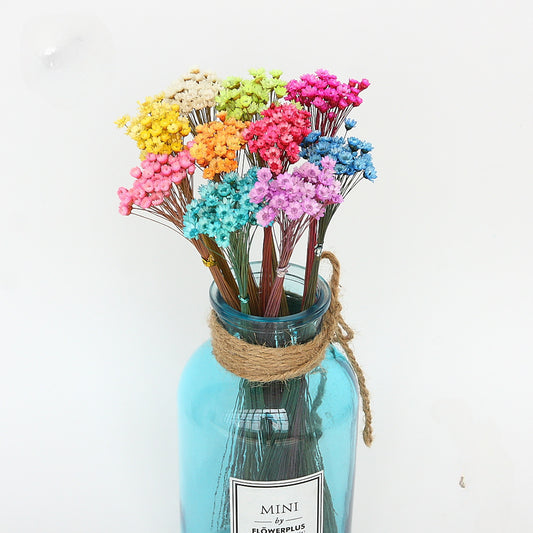 Brazil Little Star Flower Eternal Flower Dried Flower Bouquet