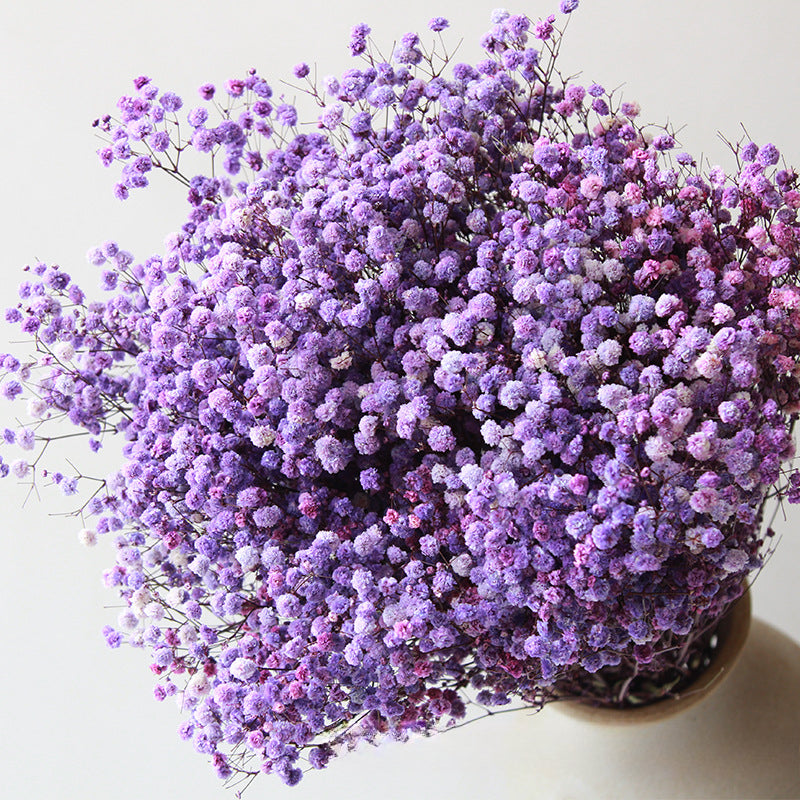 High Quality Eternal Babysbreath Flower Bouquet Dried Flower Home Wedding Decoration Real Flower Gypsophila