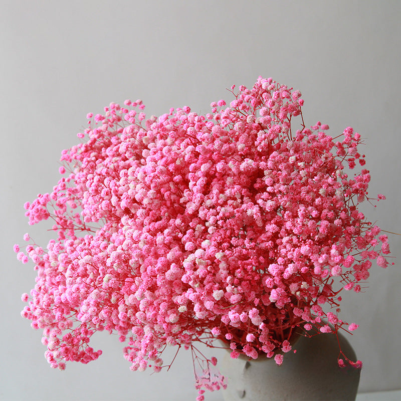 High Quality Eternal Babysbreath Flower Bouquet Dried Flower Home Wedding Decoration Real Flower Gypsophila