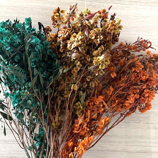 Dried Butterfly Flower Natural Flowers Bouquet Home wedding Decoration Preserved flowers