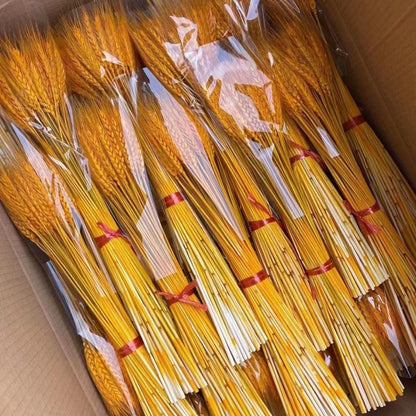 Dried Flower Natural Wheat Ear Bouquet 100 Stems
