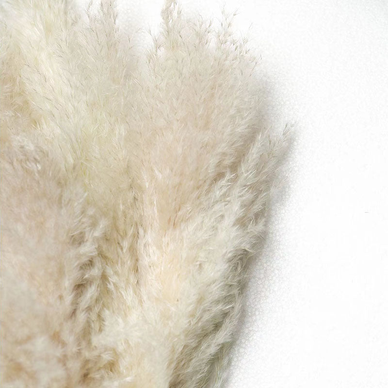 Dried Flower, Natural Pampas Grass, Large Reed, Home Wedding Decoration