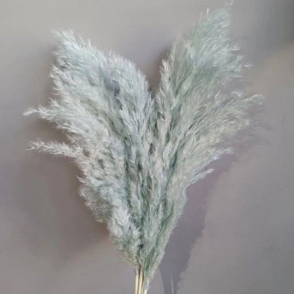 Natural Reed Dried Flower Bouquet Home wedding Decor Eternal Pampas Grass