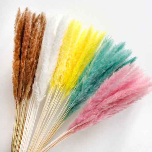 Dried Flower, 15pcs Natural Reed Plant, Pampas Grass Decor, Home Table Decor, Wedding Decor