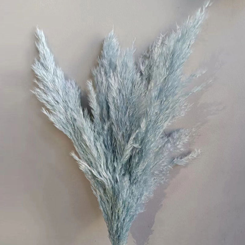 Natural Reed Dried Flower Bouquet Home wedding Decor Eternal Pampas Grass