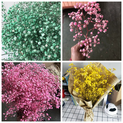 High Quality Eternal Babysbreath Flower Bouquet Dried Flower Home Wedding Decoration Real Flower Gypsophila