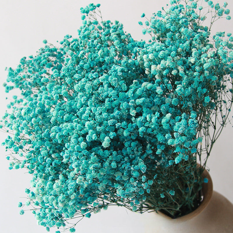 High Quality Eternal Babysbreath Flower Bouquet Dried Flower Home Wedding Decoration Real Flower Gypsophila
