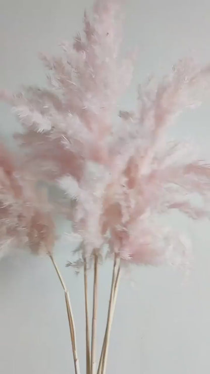 Natural Reed Dried Flower Bouquet Home wedding Decor Eternal Pampas Grass